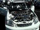PANA0034.JPG