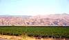 dsc01488.jpg
