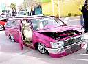 dsc07351.jpg