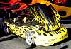 DSC07511.JPG