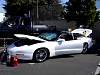 dsc06697.jpg