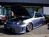 dsc03907.jpg