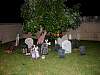 dsc00981.jpg