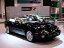 dsc04846.jpg