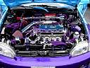 dsc01258.jpg