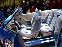 dsc07828.jpg