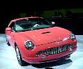 dsc07993.jpg
