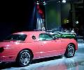 dsc07997.jpg