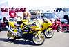DSC00555.JPG