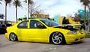 dsc07357.jpg