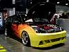 DSC08621.JPG