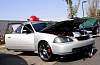 dsc03943.jpg