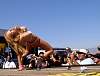 DSC04730.JPG