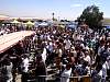 DSC03515.JPG