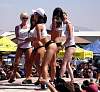 DSC03559.JPG