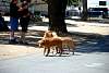 dsc_0117.jpg