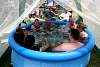 SummerMadness09210.jpg
