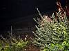 DSC01458.JPG