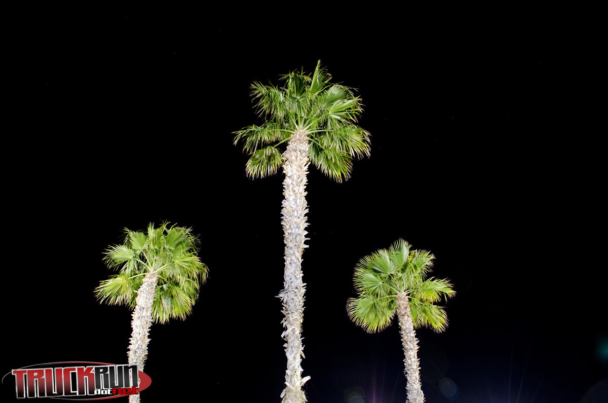 DSC_1409